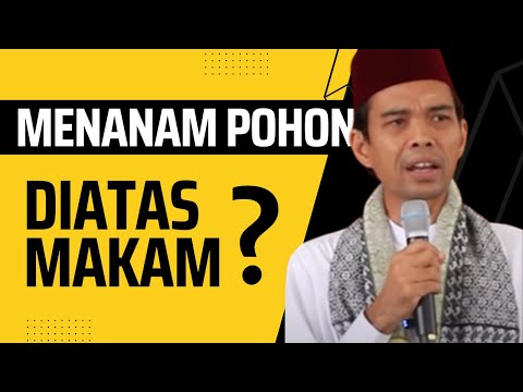 Video: Menanam Kembali Pohon yang Dipotong - Bisakah Anda Menanam Kembali Pohon Natal yang Dipotong