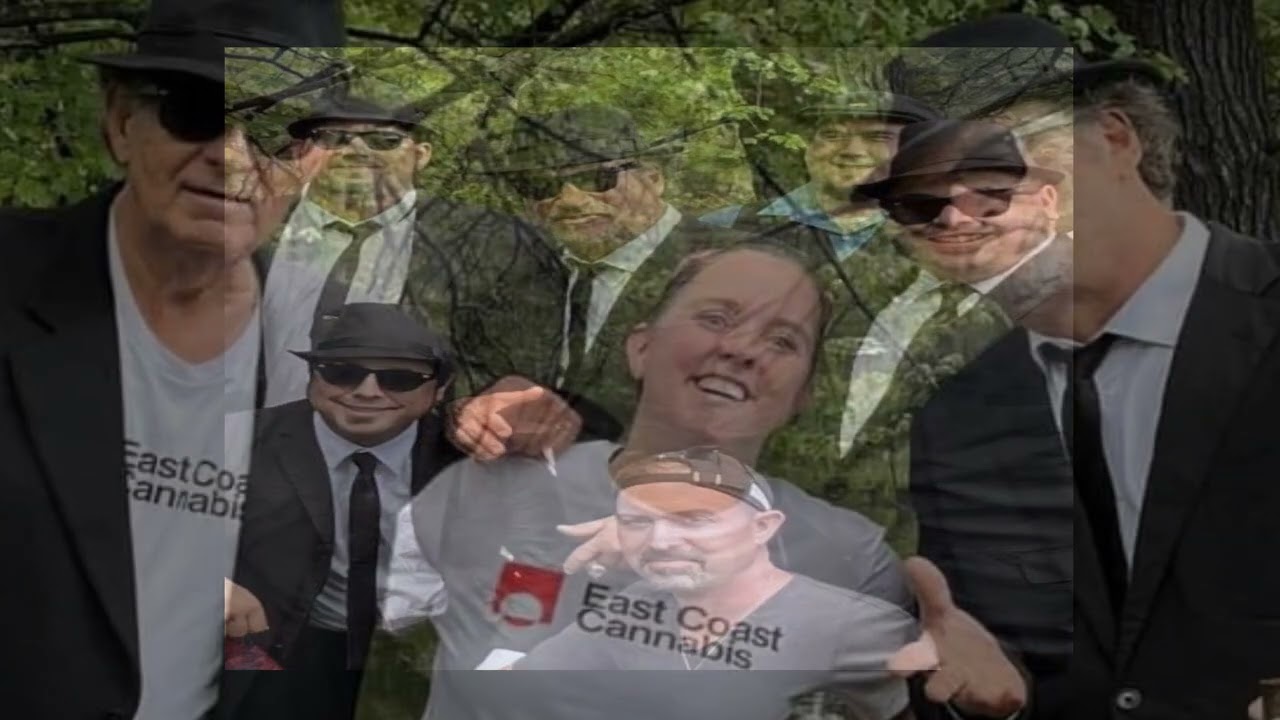 East Coast Cannabis Belushi Grows Leb. Me.