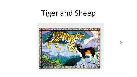 24 Standard Interview Puzzles - Tiger and Sheep