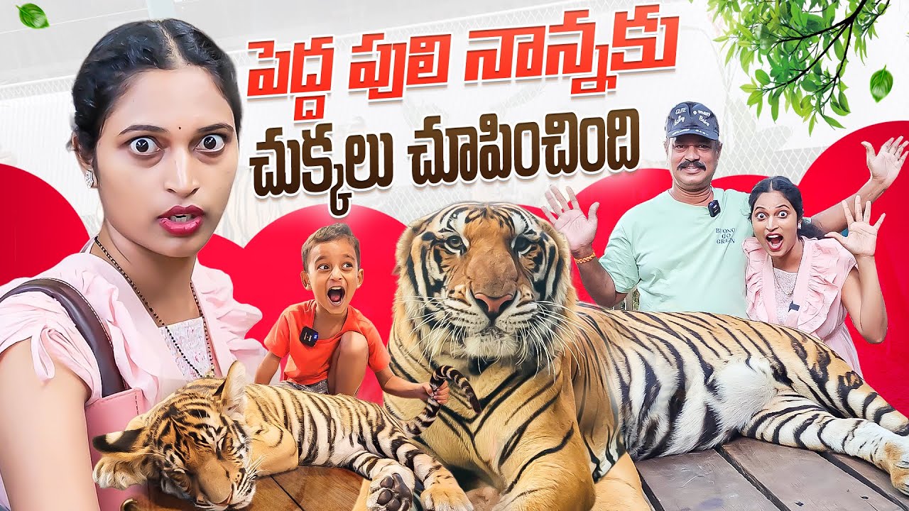పెద్ద పులి నాన్నకి చుక్కలు చూపించింది.. Family Trip in Pattaya || Bangkok Pilla
