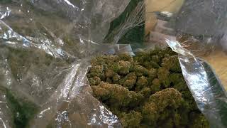 Cure Your Weed Cheap