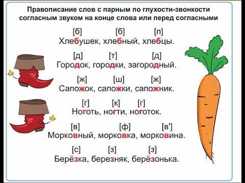 Парные по глухости звонкости согласные слова примеры