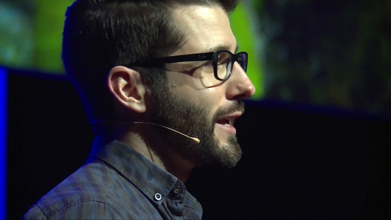 Beauty in the Beast: why we should appreciate the humble fly | Bryan