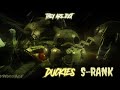 DARK DECEPTION STRANGER SEWERS S RANK..