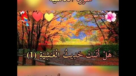 سورة الغاشية قراءة هادئة الشيخ اسامة رمضان حسن