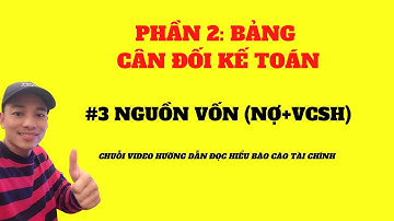 Đọc Bảng Cân Đối Kế Toán Thật Dễ ( #3 Nợ & VCSH )