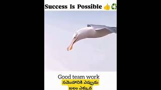 success is possible 🤞🏻 With Team Work. #viral #trending