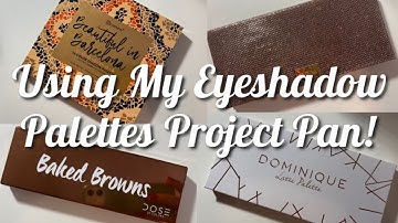 USING MY EYESHADOW PALETTES PROJECT PAN 2021!