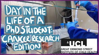 A Day in the Life: UCL ICH PhD Student (Cancer Research Edition)