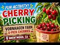 Cherry Picking Adventure at Vornhagen Farm 🍒 | Brentwood CA Family Fun