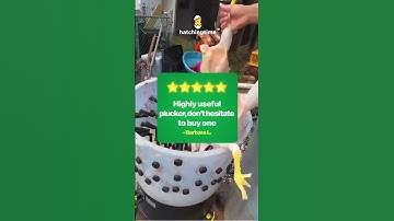 Chicken, Turkey, Duck, and Quail Defeathering Machines