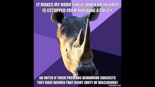 IF1 Insurance,Legal and Regulatory Revision Help