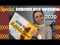 Reborn baby monkey box opening 2020  shellbellschannel