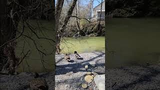 Walden Creek,  Pigeon Forge TN by MyMuddyMess 67 views 1 year ago 1 minute, 8 seconds