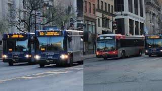 CDTA Bus Action at State/Downtown Station and Broadway/State St [S3EP26]