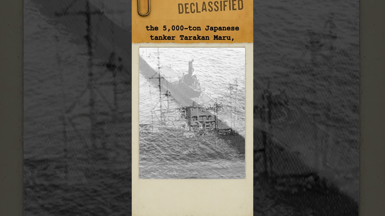 The Submarine That Flew From Danger, USS Sea Robin |