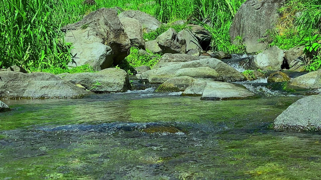 Pure River Sounds for Deep Sleep and Relaxation (No Music)