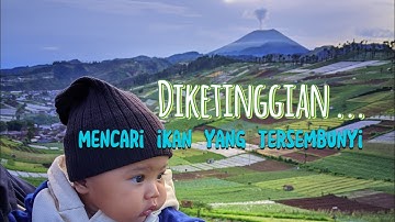 Berkeliling di desa tertinggi, Bumiayu dan mengunjungi telaga ranjeng | Negeri sayur! 