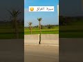 سيرة الفراق عمرو دياب 