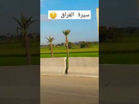 سيرة الفراق عمرو دياب 