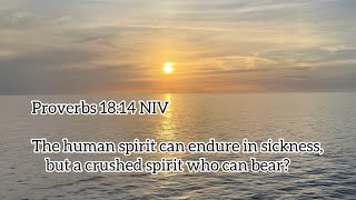Proverbs 18:14   The Voice of the Lord!