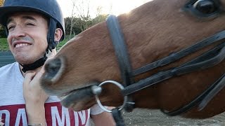 VICTIMISÉ PAR UN CHEVAL !!