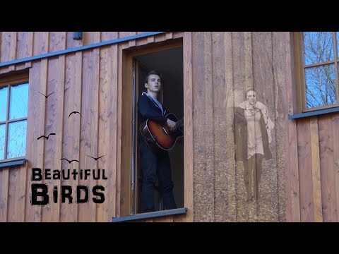 Beautiful Birds