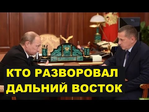 Видео: Дальневосточный вор. Миллиардер Трутнев.