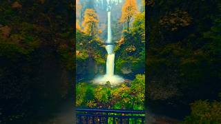 Feels like Heaven #calm #nature #waterfall