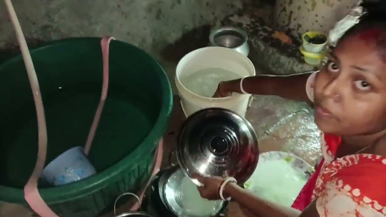 দিনের কাজগুলো রাতের বেলায় করে রাখি কেন? My Bengali daily blog video ❤️