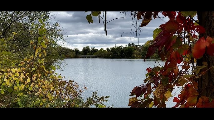 Toogood Pond
