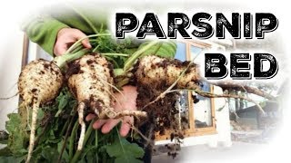 Creating A Parsnip Bed | No Dig Raised Bed Vegetables