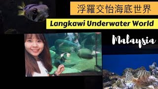 浮罗交怡必游景点！岛上最大的海底世界 Langkawi tourist hotspot: Langkawi Underwater World