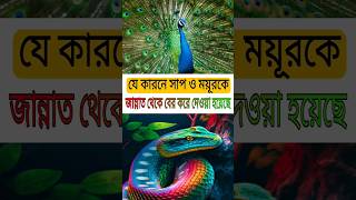 সাপ ও ময়ূরকে জান্নাত থেকে বের করে দেয়ার কারন ||  #shorts #ytshort #islamic #apocalypseworld