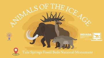 Virtual Field Trip: Animals of the Ice Age; Tule Springs Fossil Beds National Monument