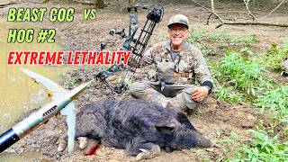 Pt 2: SAME BEAST COC vs HOG #2: "EXTREME LETHALITY" #elitearchery #ravincrossbows