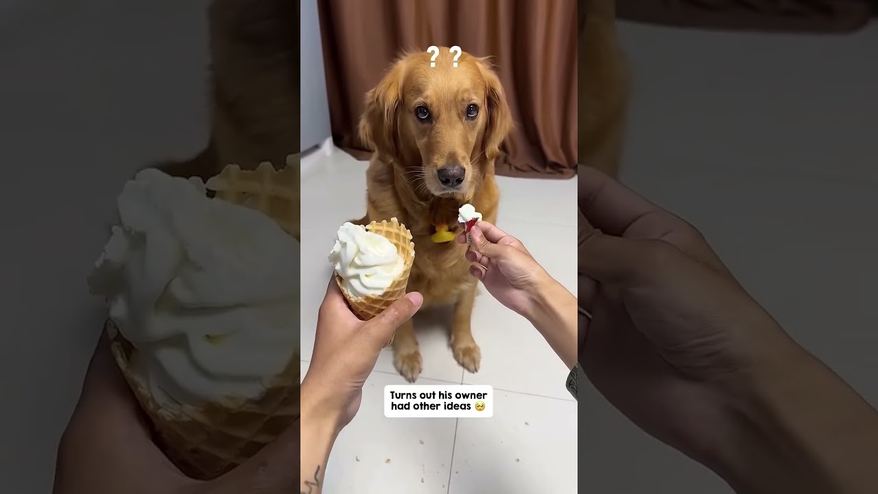 Ты не всерьёз.