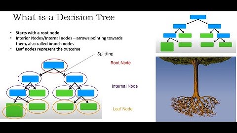 DECISION TREES PART 1
