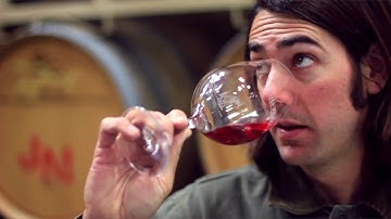 Notes From the Winemaker - Making Rosé