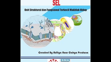 Tutorial Membuat Buku Digital