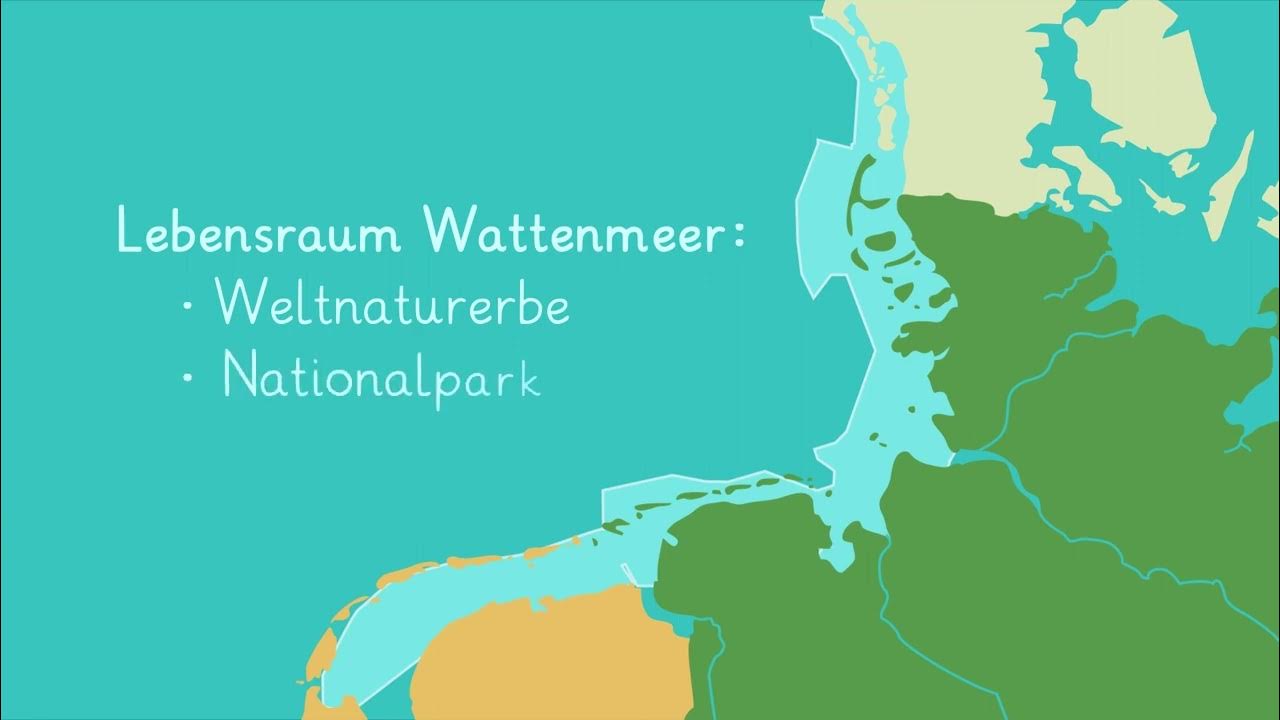 Ein Tag im Wattenmeer einfach erklärt sofatutor YouTube