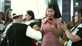 SEDINGIN SALJU - ALL ARTIS  KAJJOLE PANTURA 