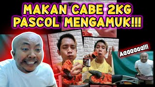 MAKAN CABE 2 KILOGRAM, PASCOL MENGAMUK!!!