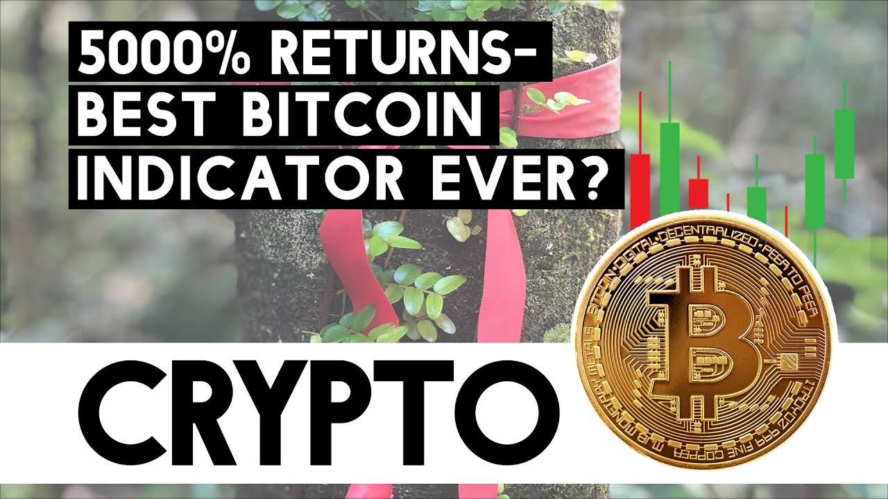 calcolare il profitto di bitcoin gold come cambiare bitcoin a paypal