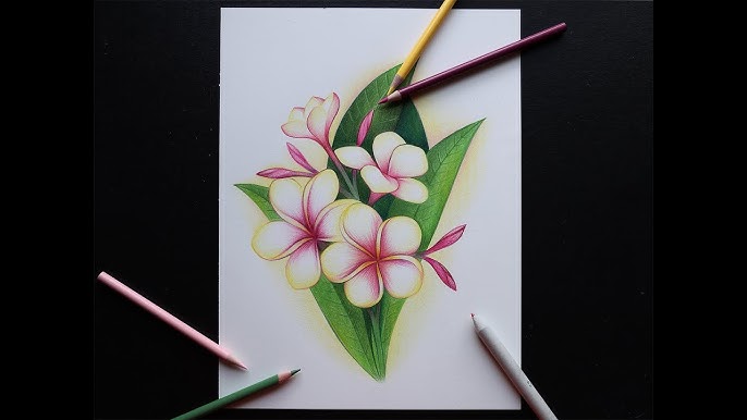 How to Illustrate with markers and colored pencils « Drawing & Illustration  :: WonderHowTo