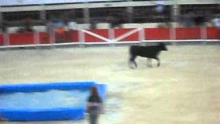 Celine Toro Piscine Camargue 2010