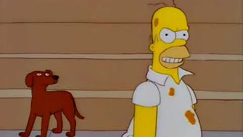 There's no such thing as a talking dog - Homer