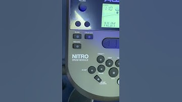 Why We Love The Alesia Nitro Mesh Kit