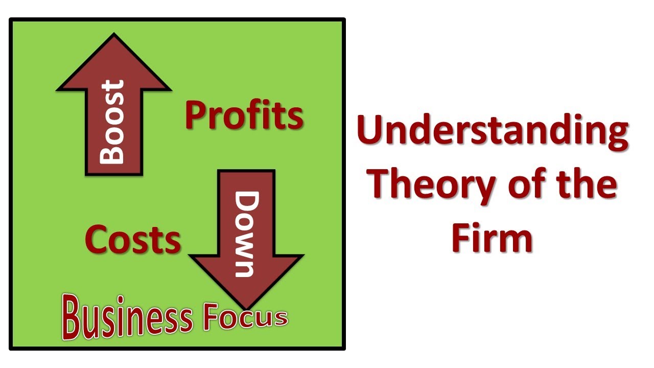 theory of the firm case study