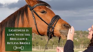 Next-Level Bitless Bridle: The Fit & Function of the Brilliance Bridle